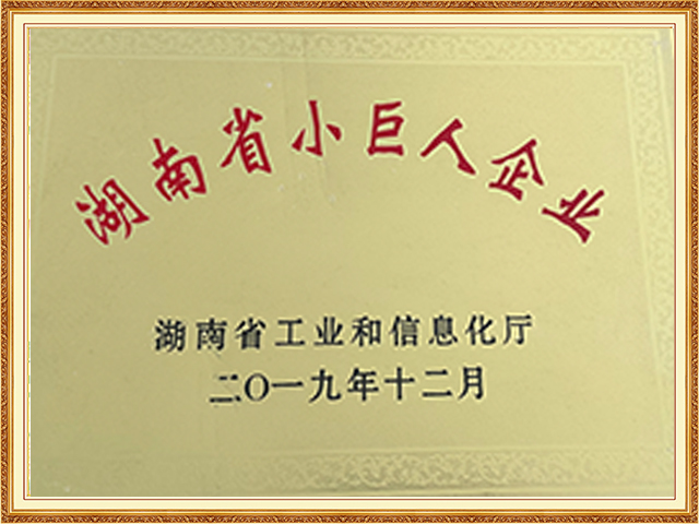 湖南省小巨人企業